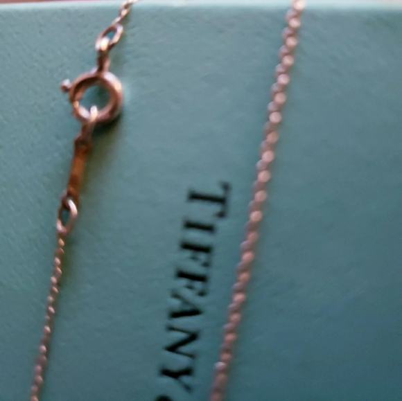 Tiffany necklace main image 6